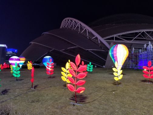 沈阳奥体冰雪嘉年华