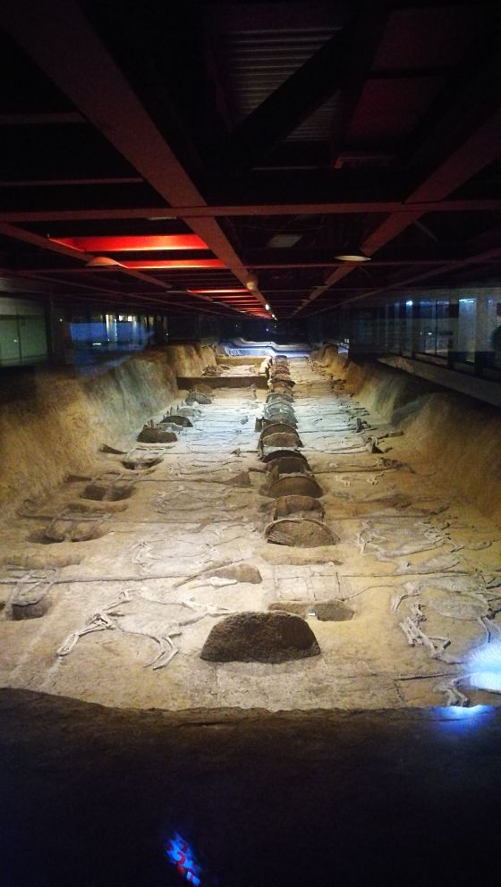 荆州楚王车马阵景区