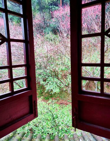 九峰山网岙景区