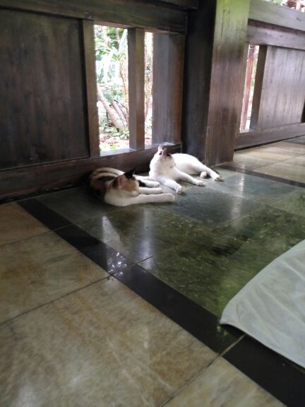 龙达温泉生态城