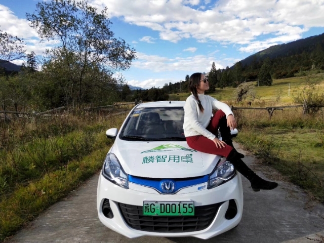 鲁朗花海牧场景区