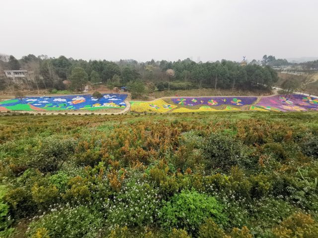 都江堰·玫瑰花溪谷