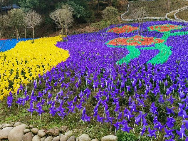 都江堰·玫瑰花溪谷