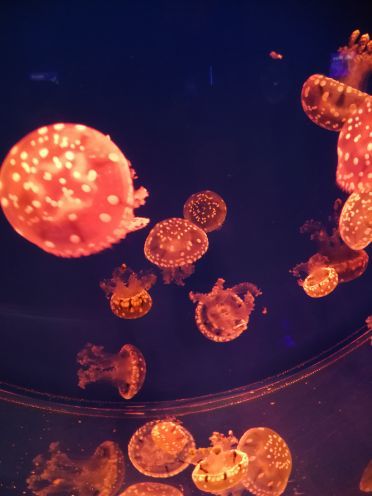 南宁极地海洋世界