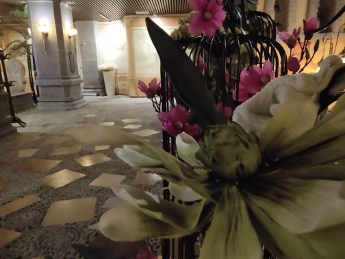 欧乐堡亲子养生温泉