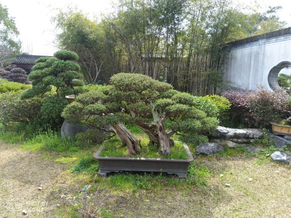 棠樾牌坊群鲍家花园