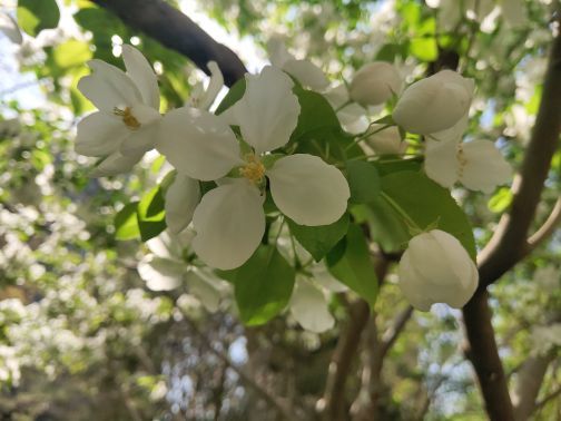 江户汤泉·水空间