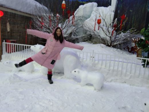 雪飘飘冰雪世界