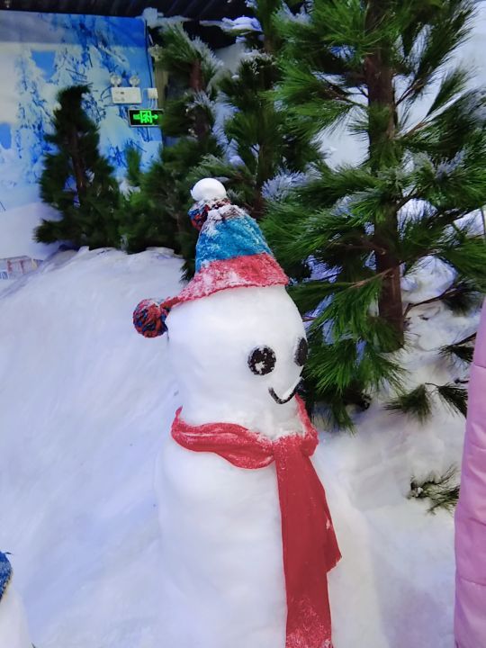 雪飘飘冰雪世界