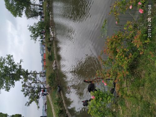 鹅湖玫瑰文化园