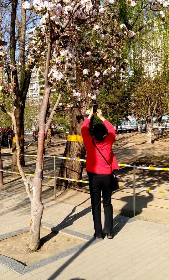 元大都城垣遗址公园