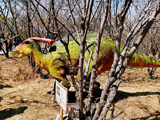 北大荒唐都生态园