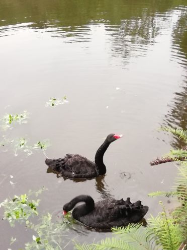红珠山森林温泉
