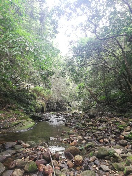 天马山生态旅游区