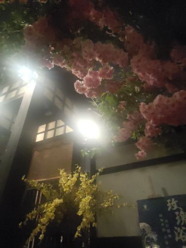 江户汤泉·水空间