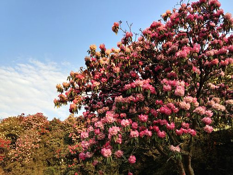 黄果树风景名胜区旅游景点攻略图