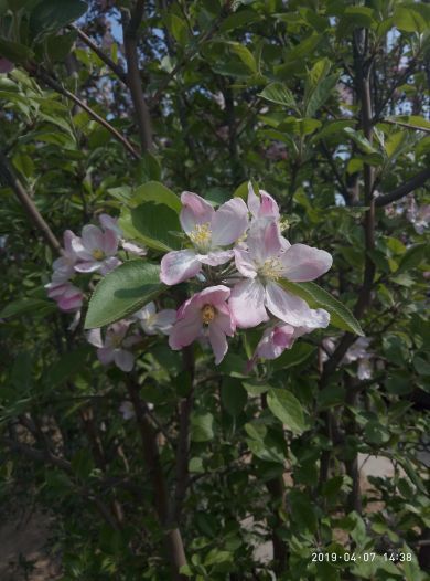 坊子炭矿博物馆