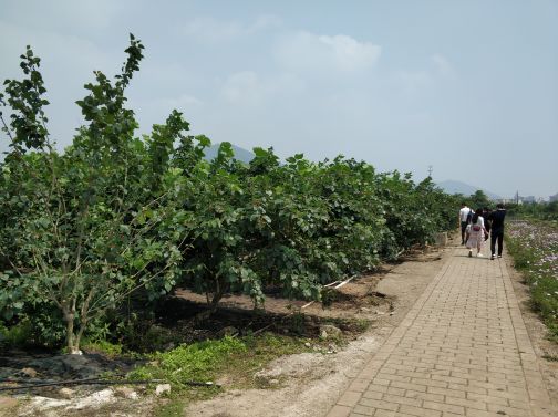 旭景农业科技园