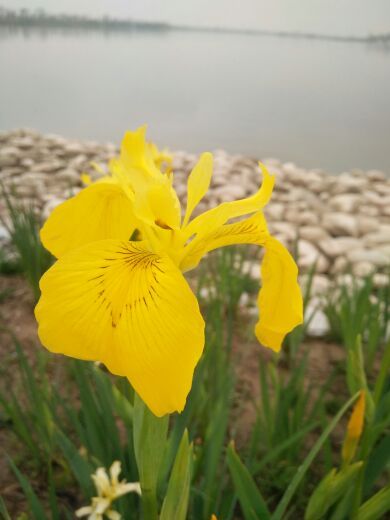 昆明池·七夕公园