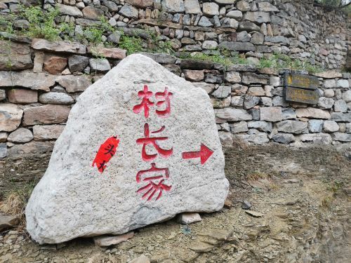 庆阳普罗旺斯薰衣草庄园