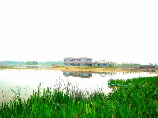 昆明池·七夕公园