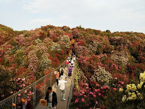 黄果树风景名胜区旅游景点攻略图