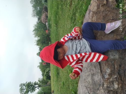 鹅湖玫瑰文化园