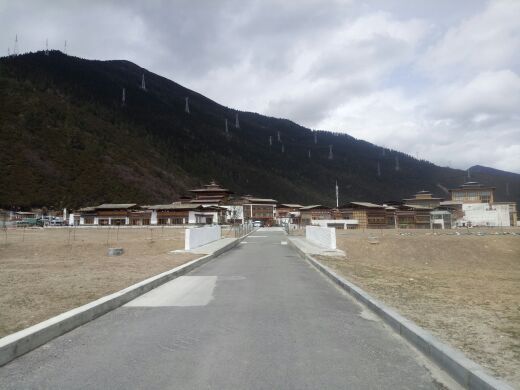 鲁朗花海牧场景区