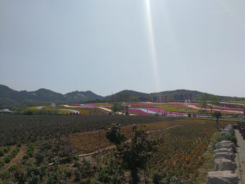 青岛西海岸生态观光园