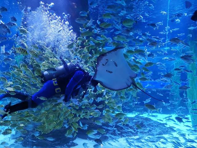 兰州极地海洋世界