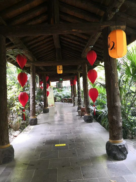 长安先导国际创新人才交流中心