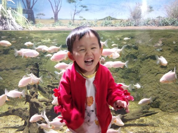 遵义冰雪海洋世界