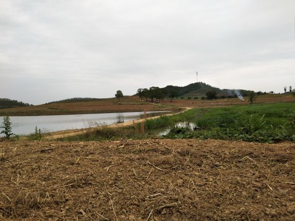 大明花海生态旅游区