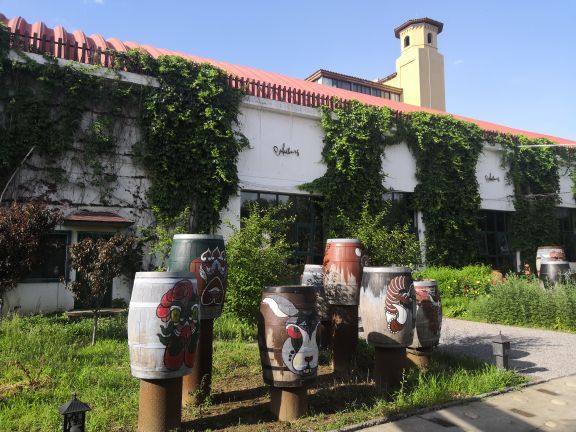 欧菲堡酒庄有机葡萄园