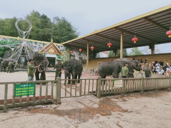 贵州森林野生动物园