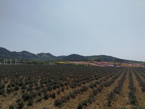 青岛西海岸生态观光园