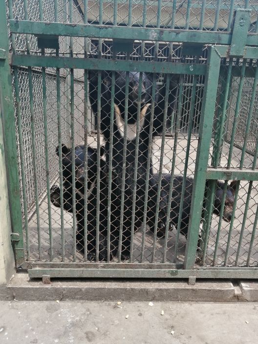 合肥野生动物园