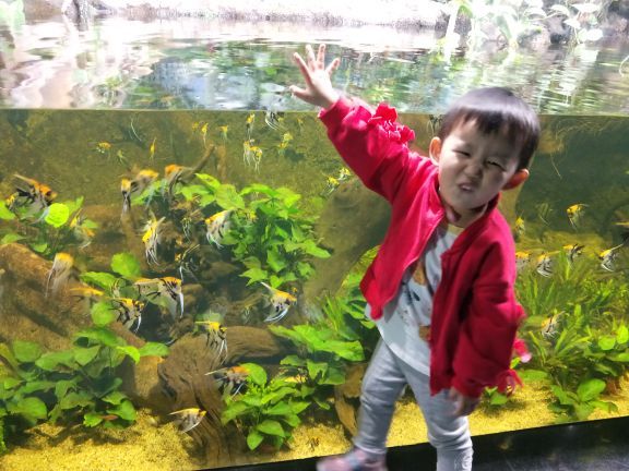 遵义冰雪海洋世界