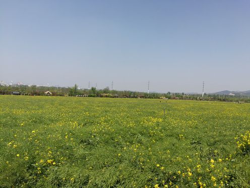 青岛西海岸生态观光园