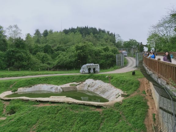 贵州森林野生动物园