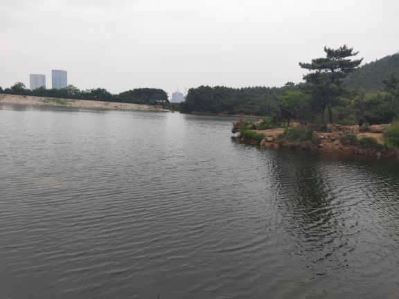 青岛浮山森林公园