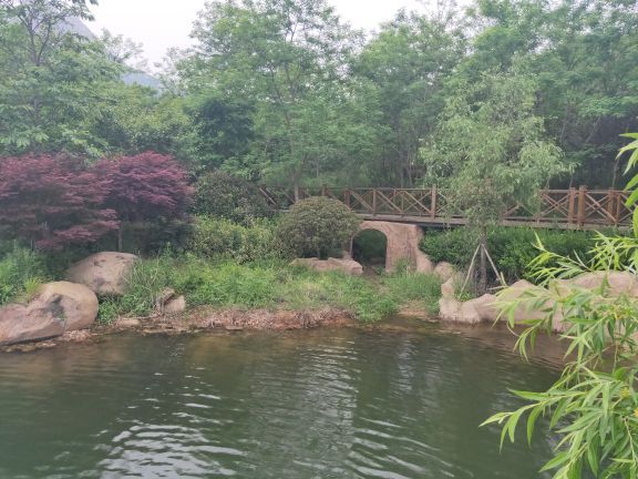 青岛浮山森林公园