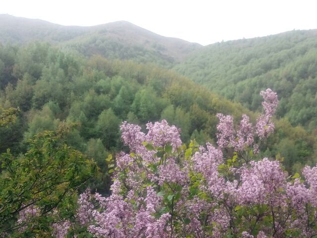 火石寨国家地质(森林)公园