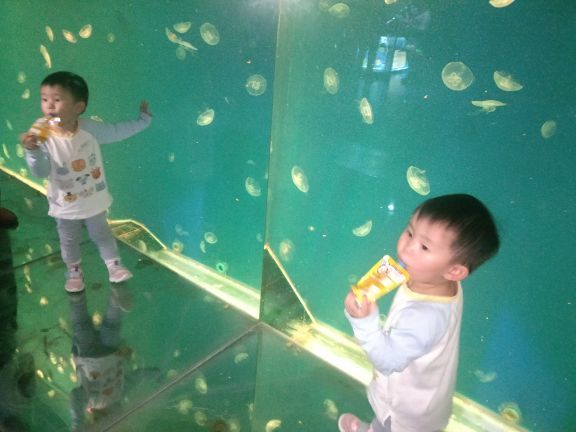 遵义冰雪海洋世界