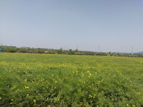 青岛西海岸生态观光园