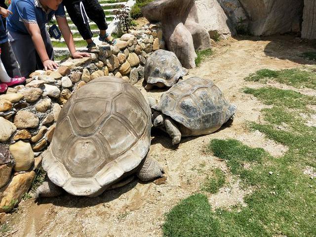 厦门中非世野野生动物