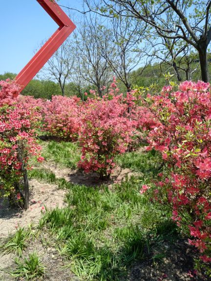 藏马山国际旅游度假区