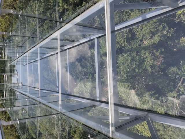 景区没有什么玩,就是为玻璃桥来,太阳晒死,39度,哂份了_呀诺达雨林