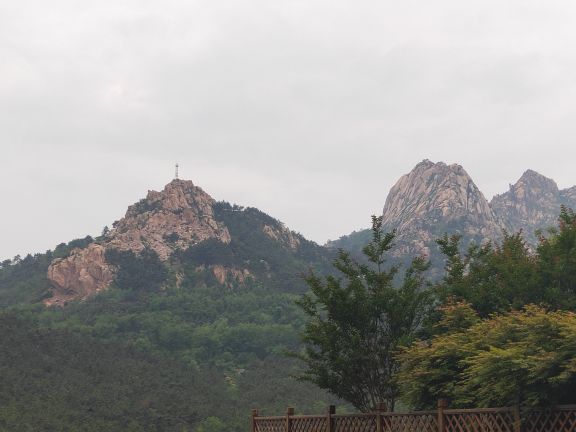 青岛浮山森林公园