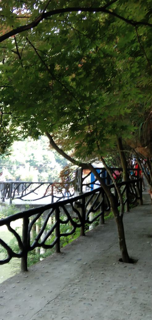 天烛湖仙境景区